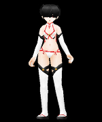 Palanquin Carrier Garment